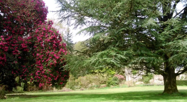 Коттедж Maison de charme Finistere 4 personnes