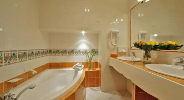 Одноместный номер Standard Hostellerie du Passeur - Hôtel & Restaurant - Climatisation et Piscine chauffée