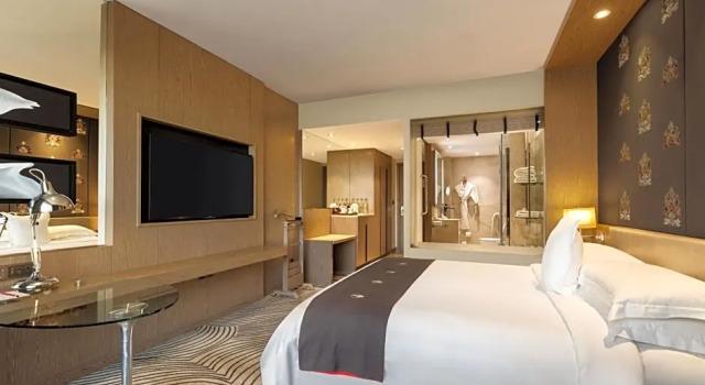 Клубный номер Standard Sheraton New Delhi Hotel