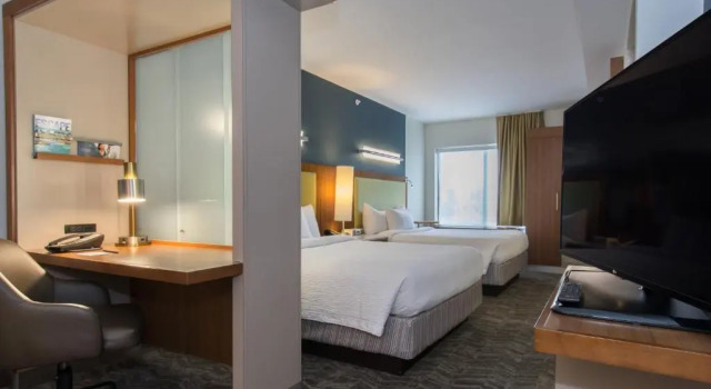 Двухместная студия SpringHill Suites Columbia Downtown The Vista