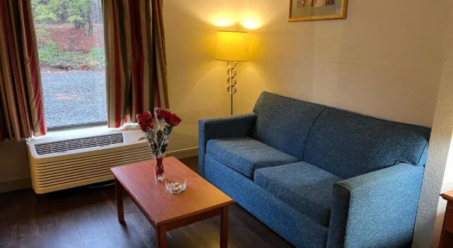 Двухместный люкс Standard Quality Suites Altavista - Lynchburg South