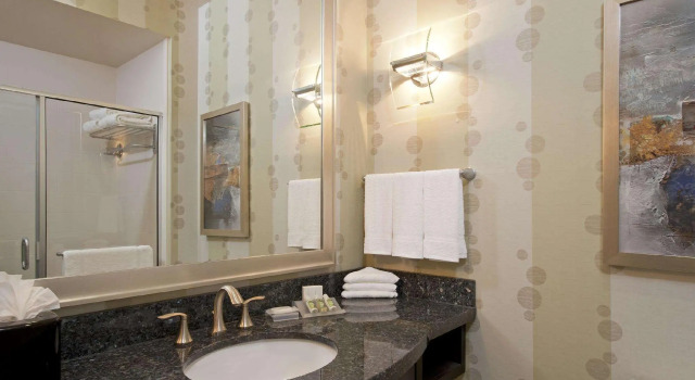 Двухместный номер Standard Hilton Garden Inn Ft Worth Alliance Airport