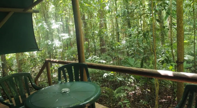 Люкс Daintree Crocodylus