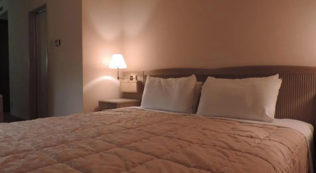 Двухместный номер Deluxe Hotel Grand Terrace Chitose