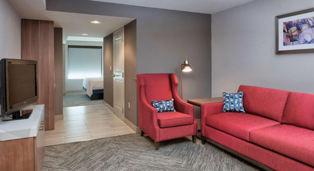 Двухместный полулюкс Hilton Garden Inn Detroit Downtown