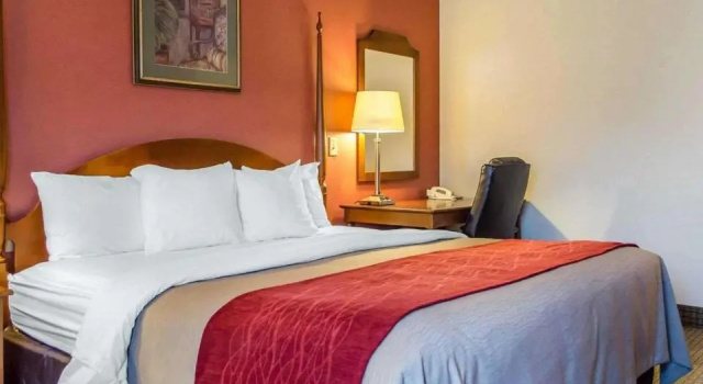 Номер Standard Comfort Inn & Suites York North