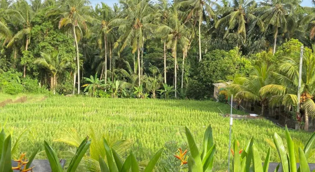 Двухместный номер Deluxe Dupa Ubud