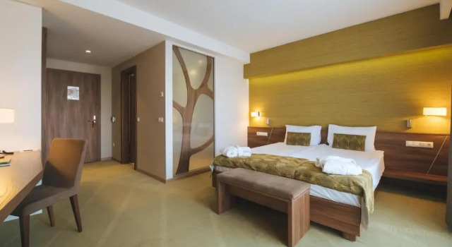 Номер Premium Imola Hotel Platán
