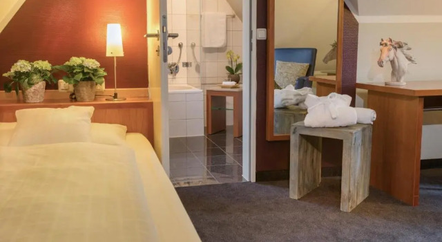 Номер Standard Seehotel Niedernberg - Das Dorf am See