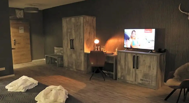 Номер Standard VitaLounge Sports & Spa Hotel