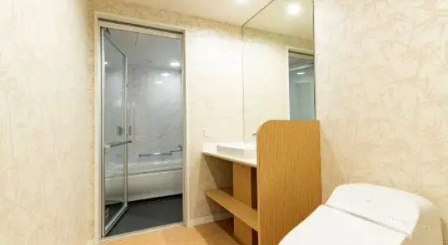 Номер Deluxe Daiwa Roynet Hotel Nagoya Fushimi