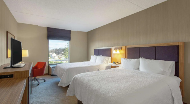 Четырёхместный номер Standard Hampton Inn & Suites Albany-Airport