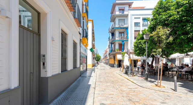 Exclusive Apartment in Seville. San Vicente I