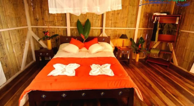 Standard- værelse Amazon Dolphin Lodge