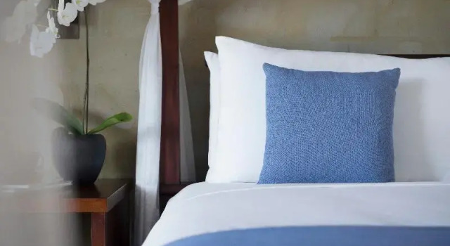 Люкс с балконом и с видом на сад REVĪVŌ Wellness Resort Nusa Dua Bali