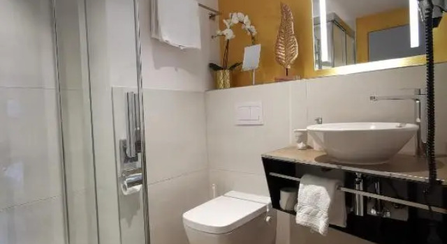 Номер Standard Hotel Brienzersee