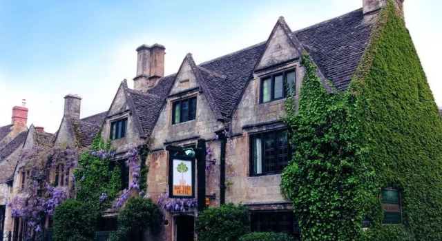 Bay Tree Hotel