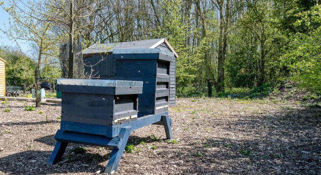 Honeysuckle Farm Hut 4 - Suffolk Farm Holidays, Забронировать Фермерский дом Фермерские дома Англии, Фермерский дом
