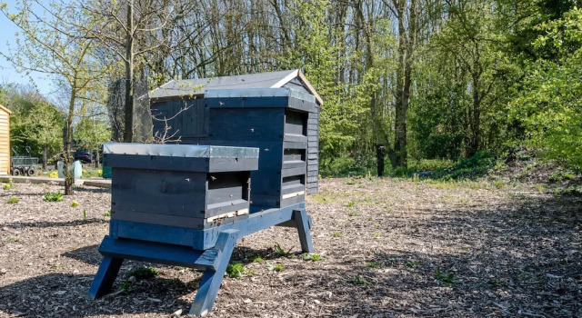Honeysuckle Farm Hut 1 - Suffolk Farm Holidays, Забронировать Фермерский дом Фермерские дома Англии, Фермерский дом