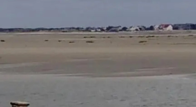 Plaisir en baie, Varaa Hotelli  