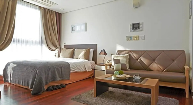 Номер Deluxe Brown Suites Seoul