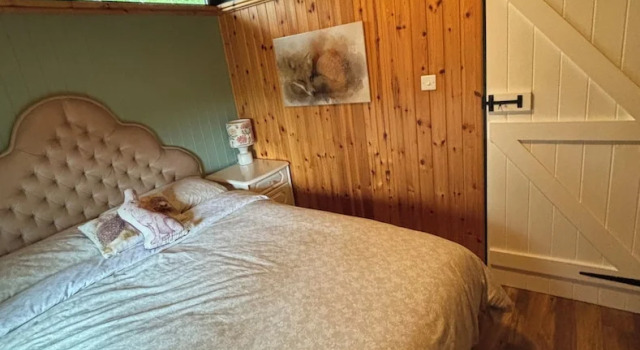 Номер Standard 11 Tan-y-coed Woodland Lodge