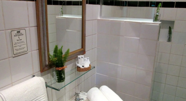 Standard Doppel Zimmer mit Gartenblick Mantenga Lodge