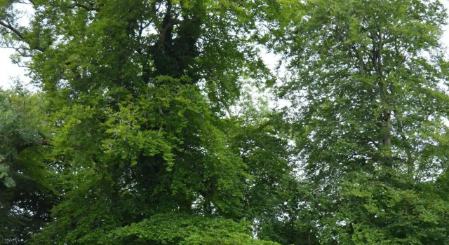 The Courtyard, Castle Dargan, จอง โรงแรม Ballygawley Sligo County