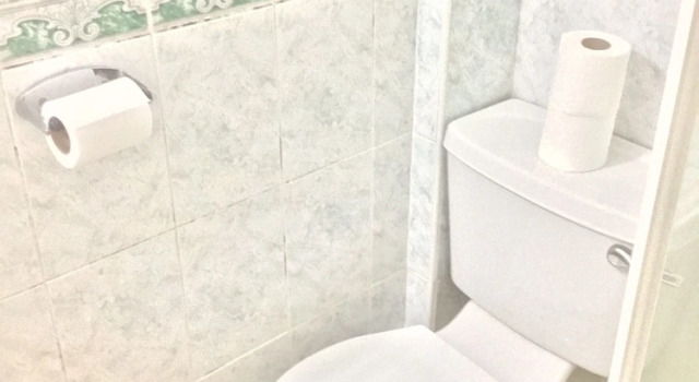 Трёхместный номер Standard Chiswick Lodge Hotel