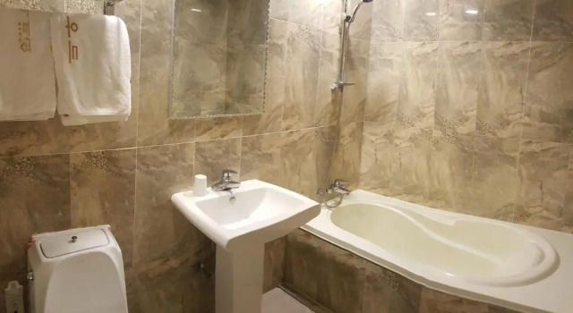Двухместный номер Premium Hotel Parkwood Incheon Airport