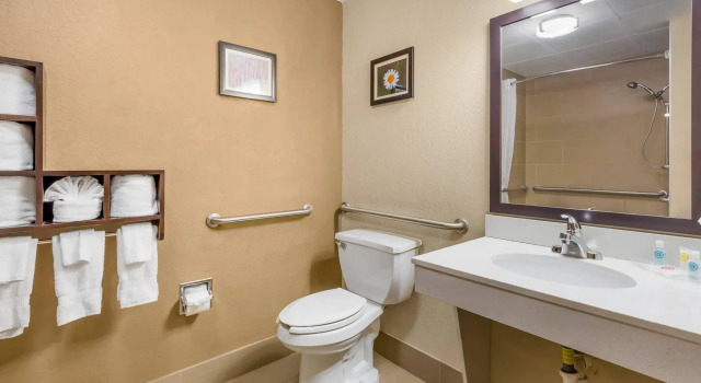 Двухместный люкс Comfort Suites Regency Park