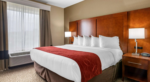 Двухместный люкс Comfort Suites Florence I-95