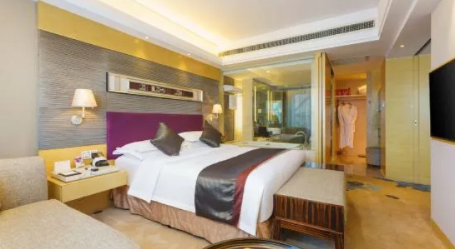 Люкс Business Luxemon Xinjiang Yindu Hotel