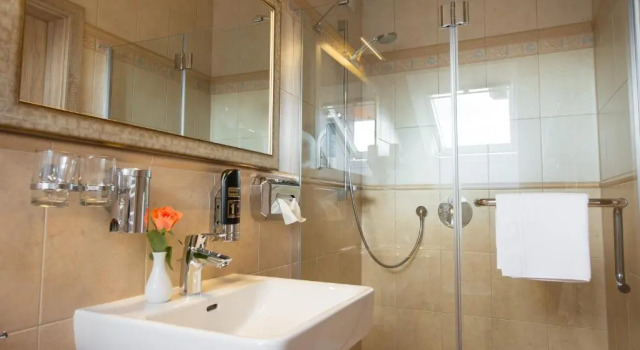 Двухместный номер Standard Hotel Rebstock