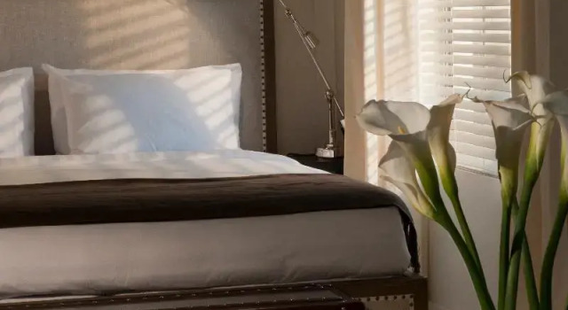 Двухместный Shepley Suite The Shepley South Beach Hotel