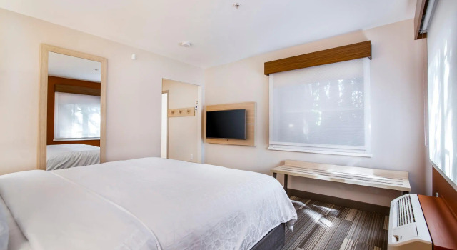 Номер Standard Holiday Inn Express & Suites Langley by IHG