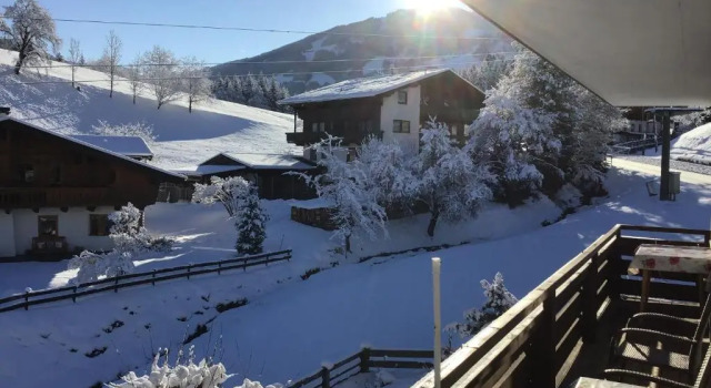 Апартаменты Alpbach Apartments