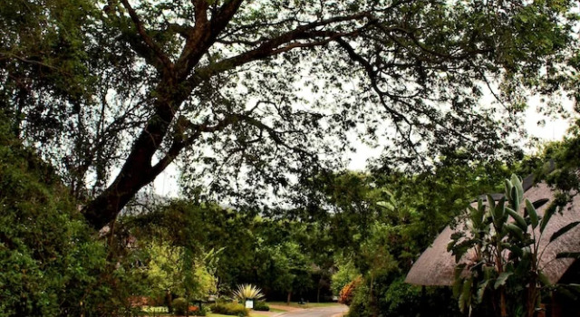 Kruger Park Lodge Unit 245, Забронировать Отель Отели Хейзивью с парковкой, рядом с Kruger Park Lodge Golf Club, Парковка