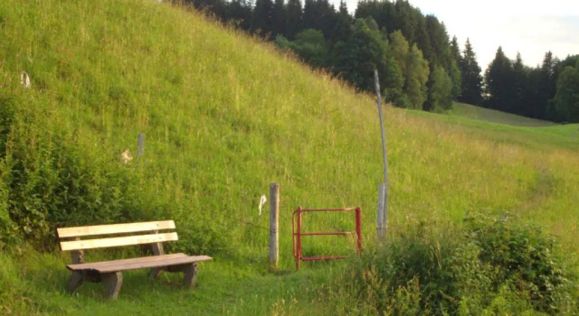 Номер Economy Hotel Schindelberg