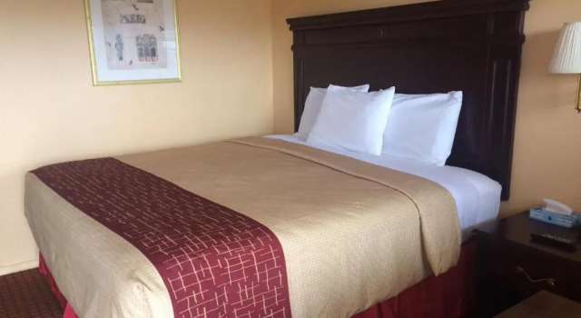 Номер Standard DeQueen Courtyard Inn