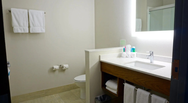 Двухместный номер Standard Holiday Inn Express & Suites Omaha - Millard Area by IHG
