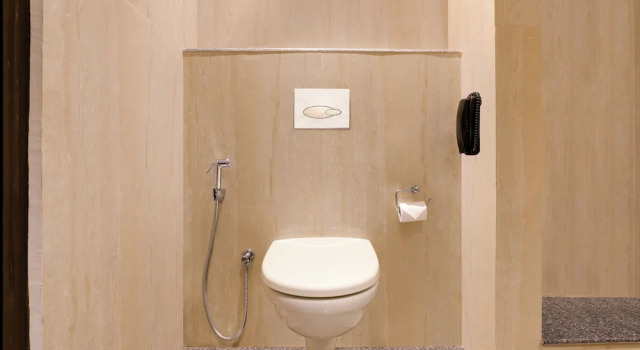 Люкс Lemon Tree Hotel, Sector 68, Sohna Road, Gurugram