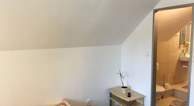 Номер Comfort Penzion 103