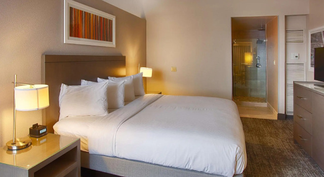 Двухместный номер Standard DoubleTree by Hilton Denver/Westminister