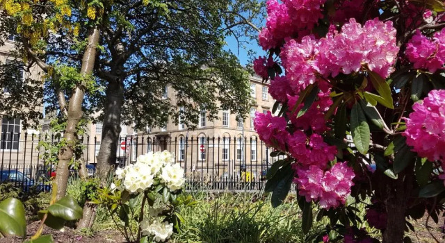 Апартаменты Дуплекс с 3 комнатами Blythswood Square Apartments