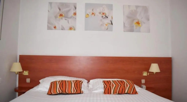 Двухместный номер Superior Hotel Colbert
