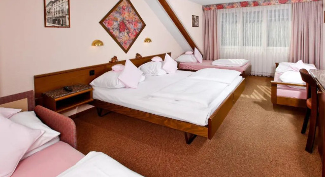 Пятиместный номер Standard Hotel Baslertor