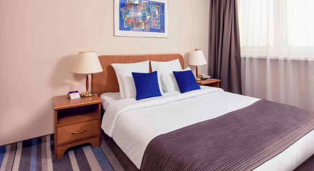 Одноместный номер Standard Hotel Mercure Toruń Centrum