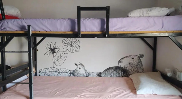 Кровать в общем номере Solar Hostel Búzios
