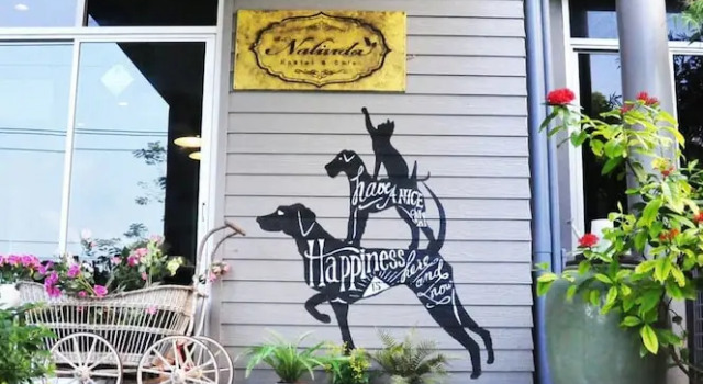 Nalinda Hostel & Cafe, Забронировать Хостел Хостелы Джомтьен-Бич, Хостел